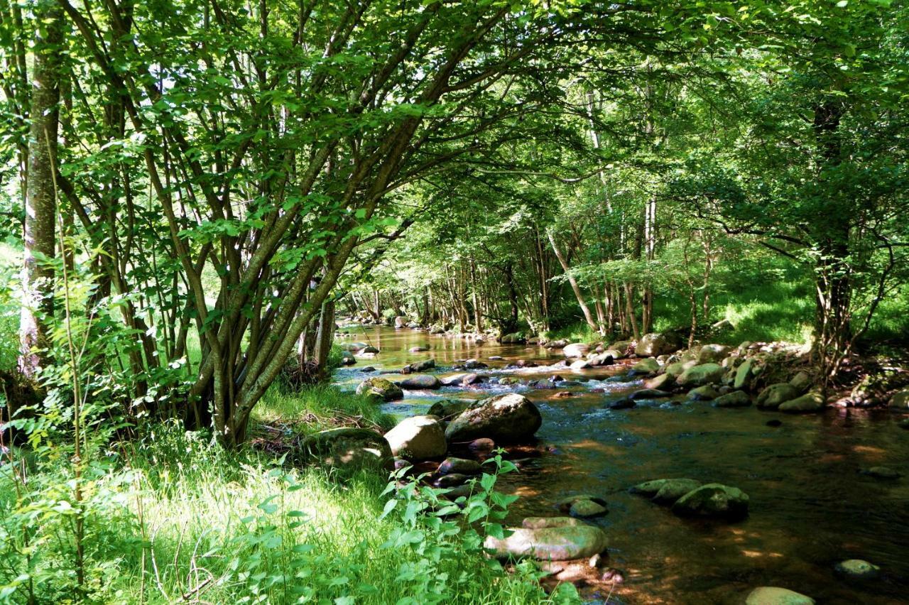 Gite **** "Le Refuge Des Fees" Saint-Julien-du-Gua Luaran gambar